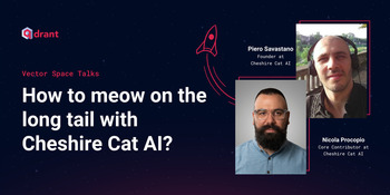How to meow on the long tail with Cheshire Cat AI? - Piero and Nicola | Vector Space Talks