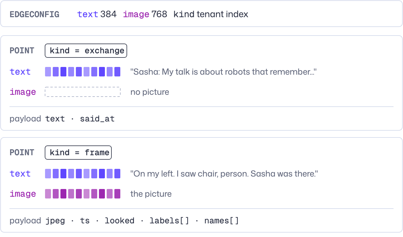 The memory shard: two named vectors, text and image, and two point types, an exchange with text only and a frame with a picture, words, labels, and names