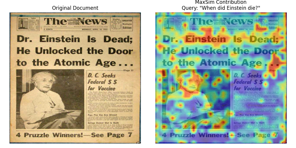 MaxSim contribution visualization