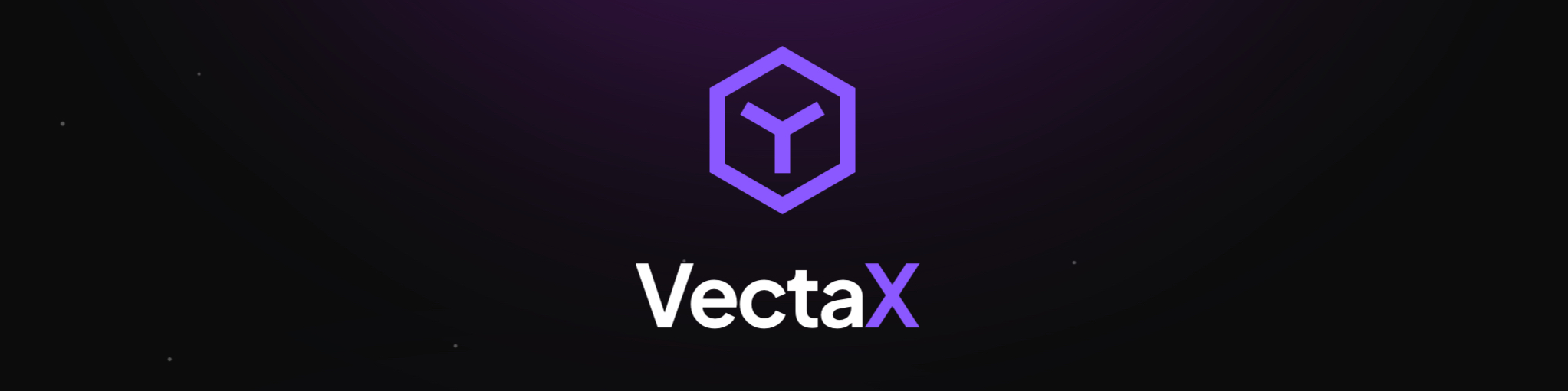 VectaX Logo