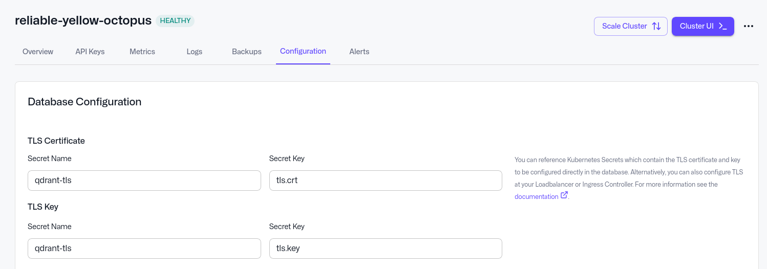 Qdrant Cloud UI page showing how to set up TLS based on the Kubernetes TLS secret we just created